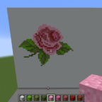 und in Rosa